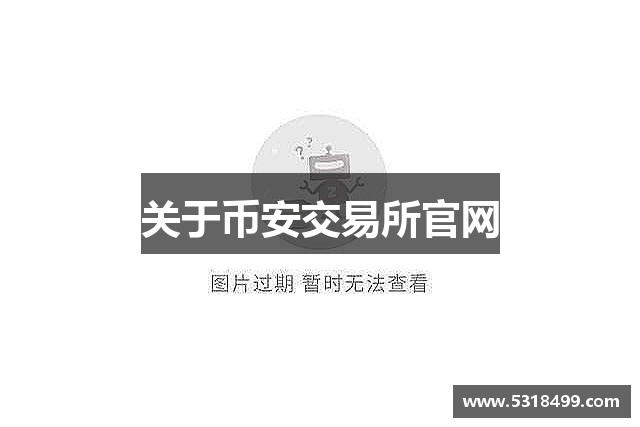 关于币安交易所官网